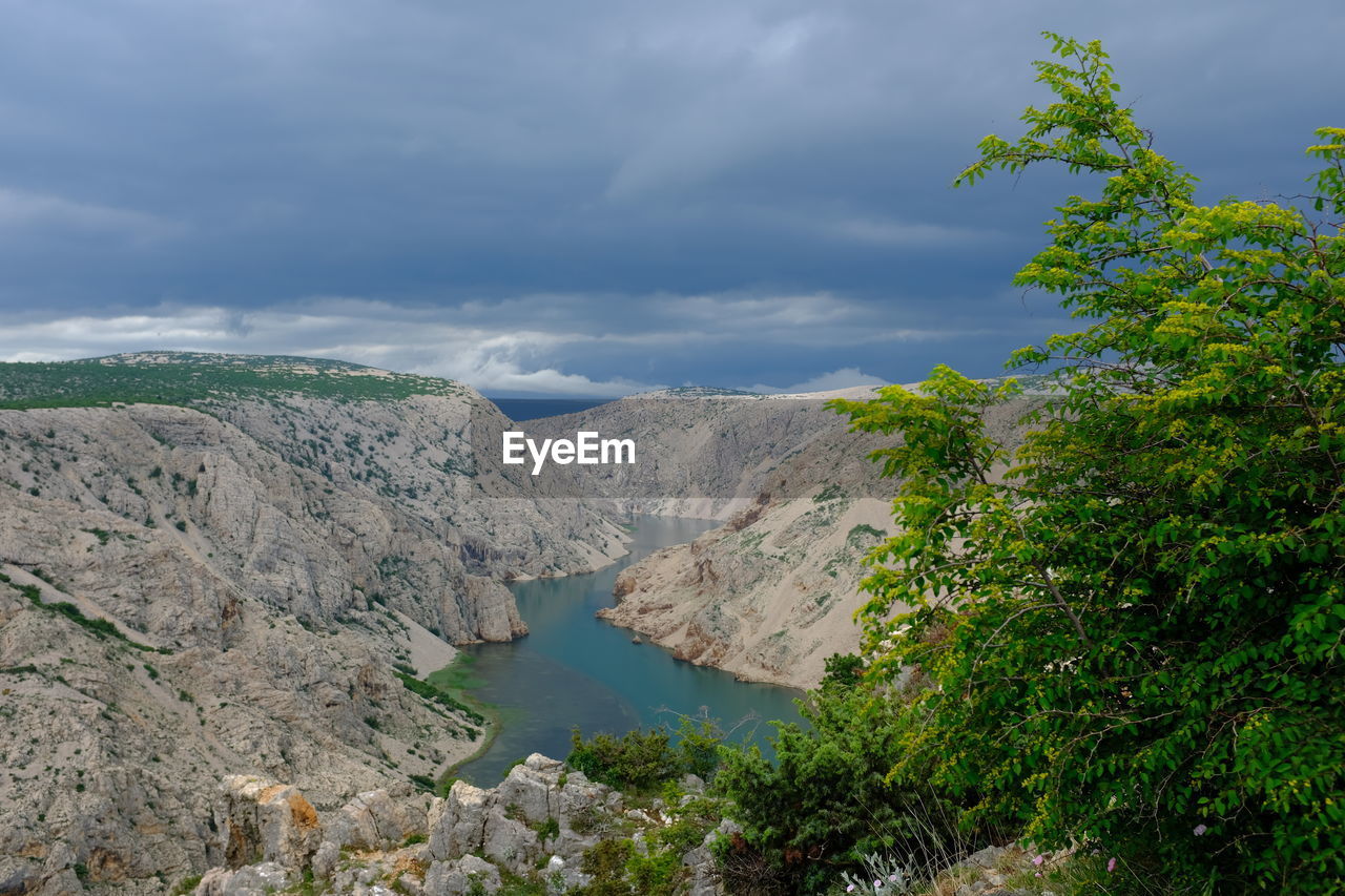 Scenic view of river amidst trees against sky