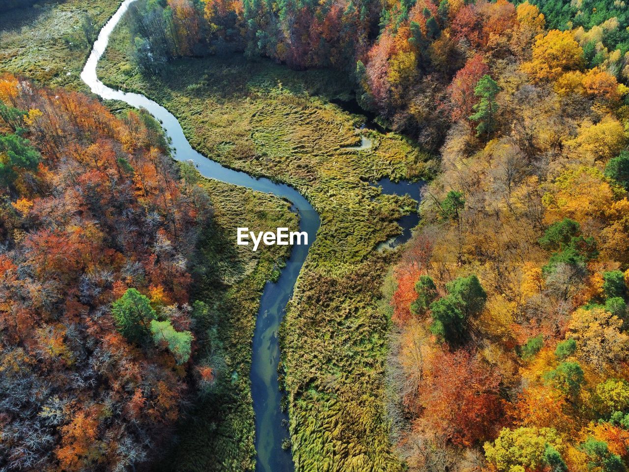 High angle view of trees during autumn