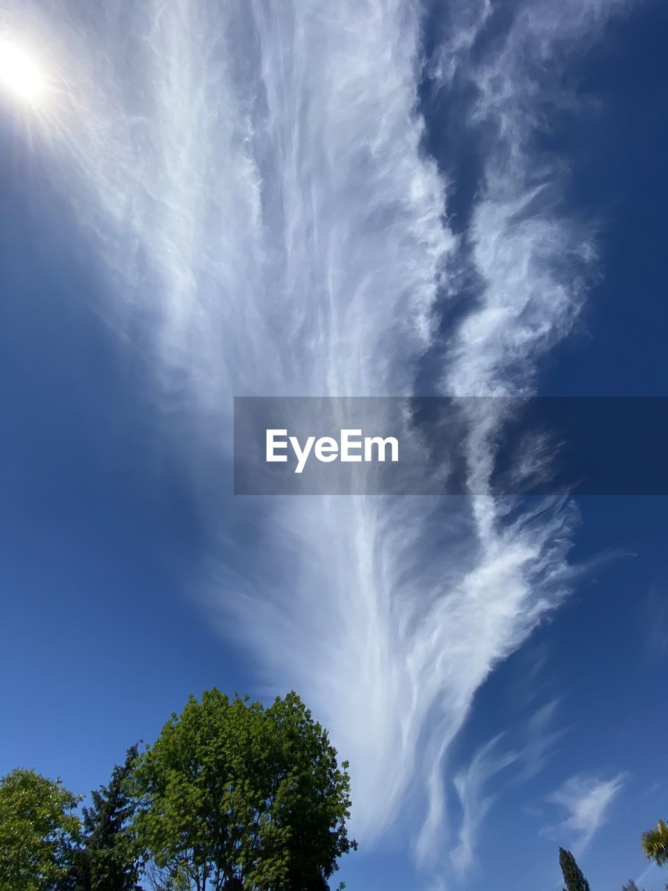 LOW ANGLE VIEW OF TREES AGAINST CLOUDY SKY