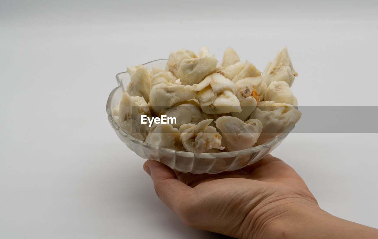 CLOSE-UP OF HAND HOLDING BOWL OVER WHITE BACKGROUND