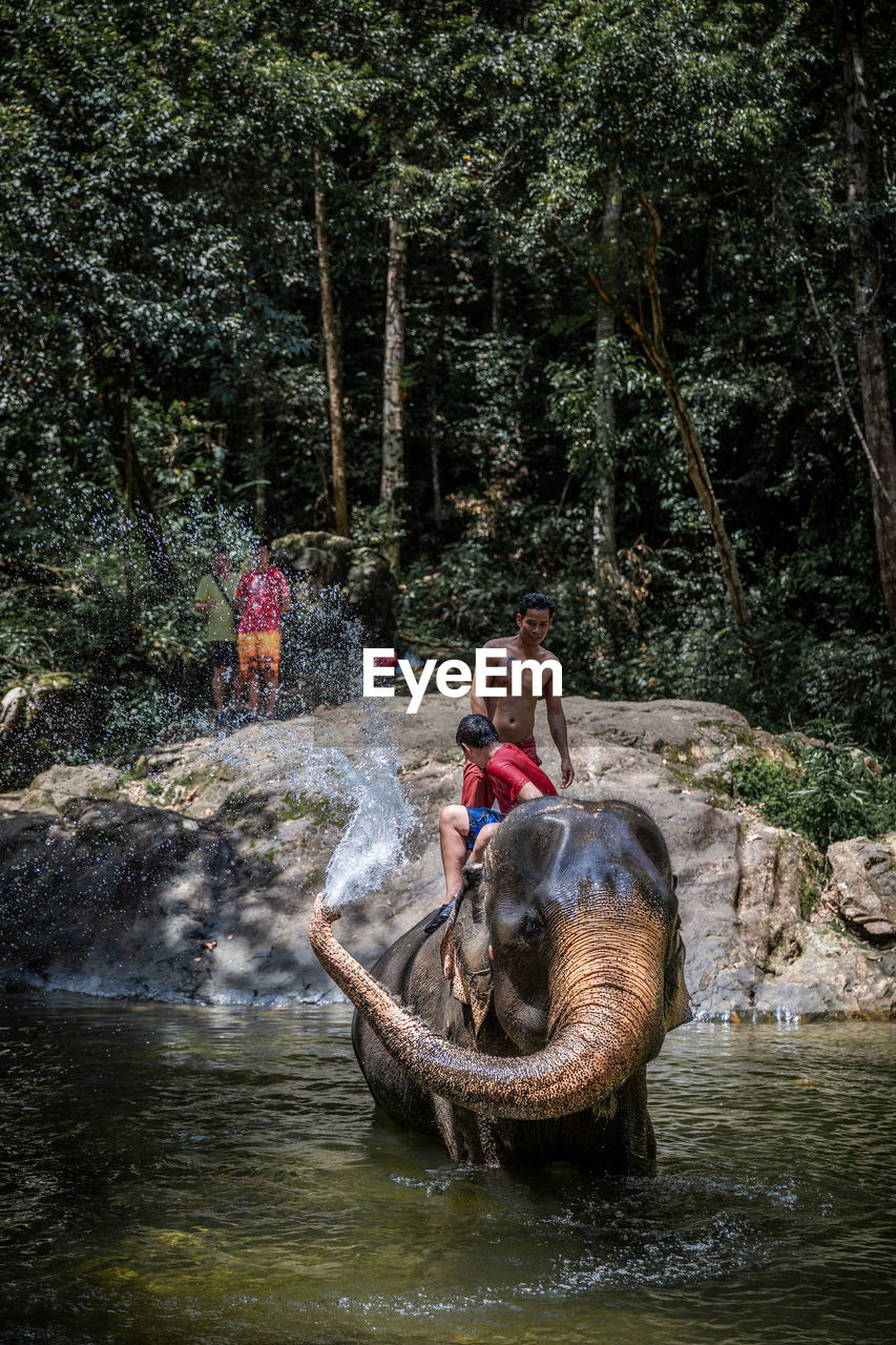 PEOPLE ON RIVERBANK IN FOREST