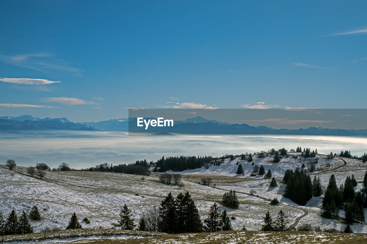 Scenic view of field against sky during winter