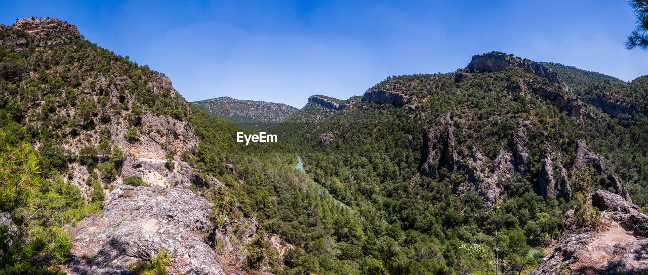 PANORAMIC VIEW OF LAND AND TREES AGAINST SKY