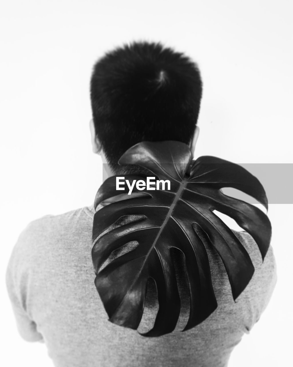 Rear view of man carrying monstera leaf over white background
