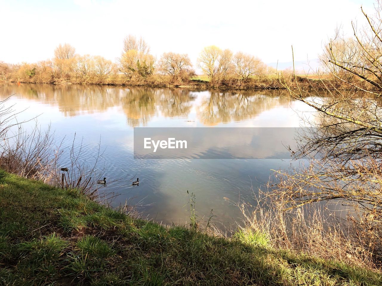 SCENIC VIEW OF LAKE WITH TREES REFLECTION