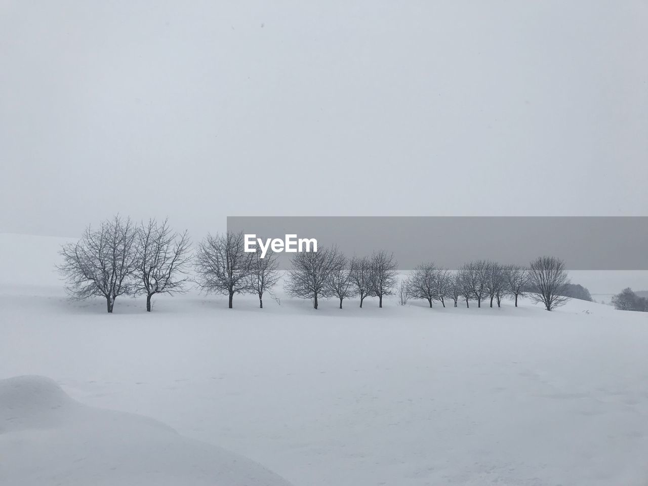 Trees on snow covered landscape against clear sky