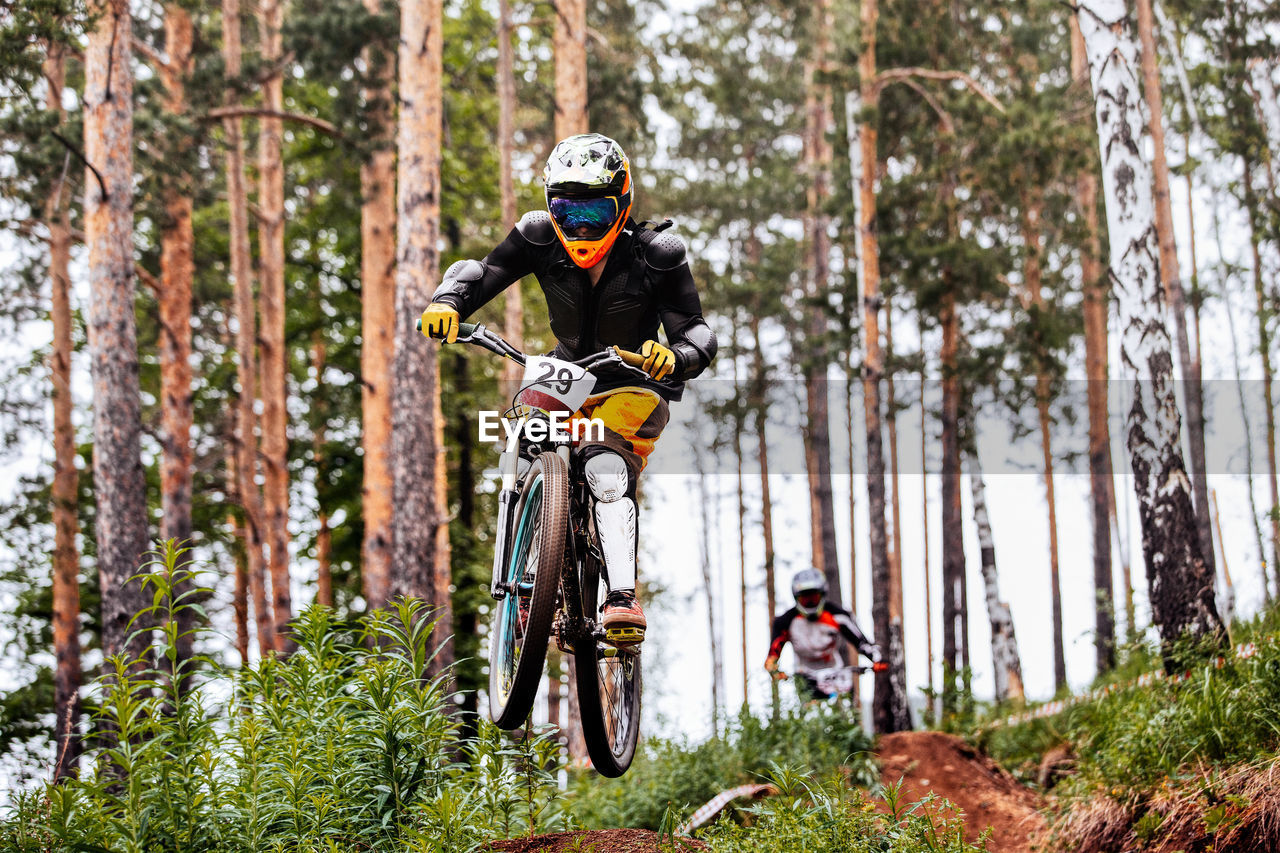 People riding motorcycle on road amidst trees in forest