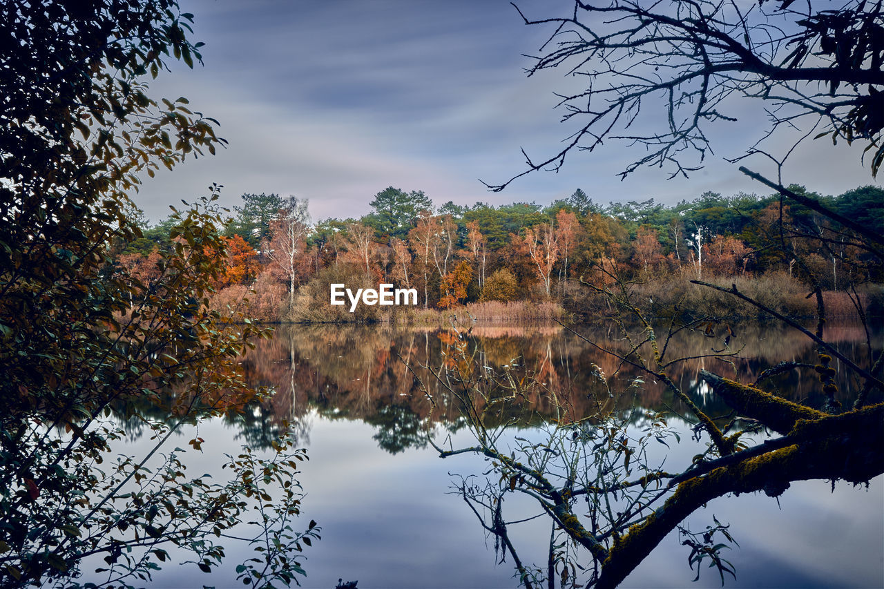 REFLECTION OF TREES IN LAKE AGAINST SKY