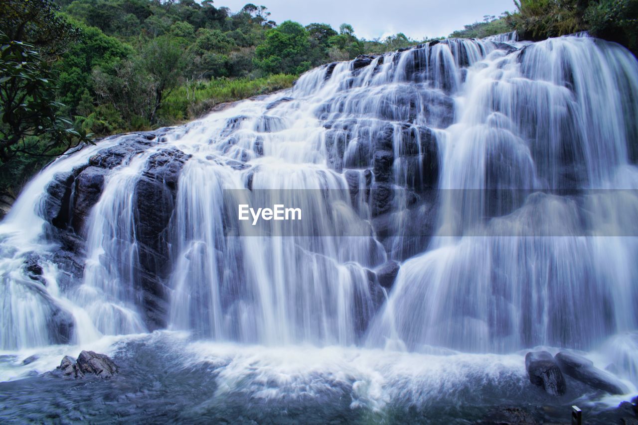 VIEW OF WATERFALL IN A FOREST