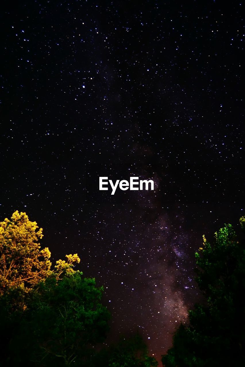 Low angle view of trees against star field at night