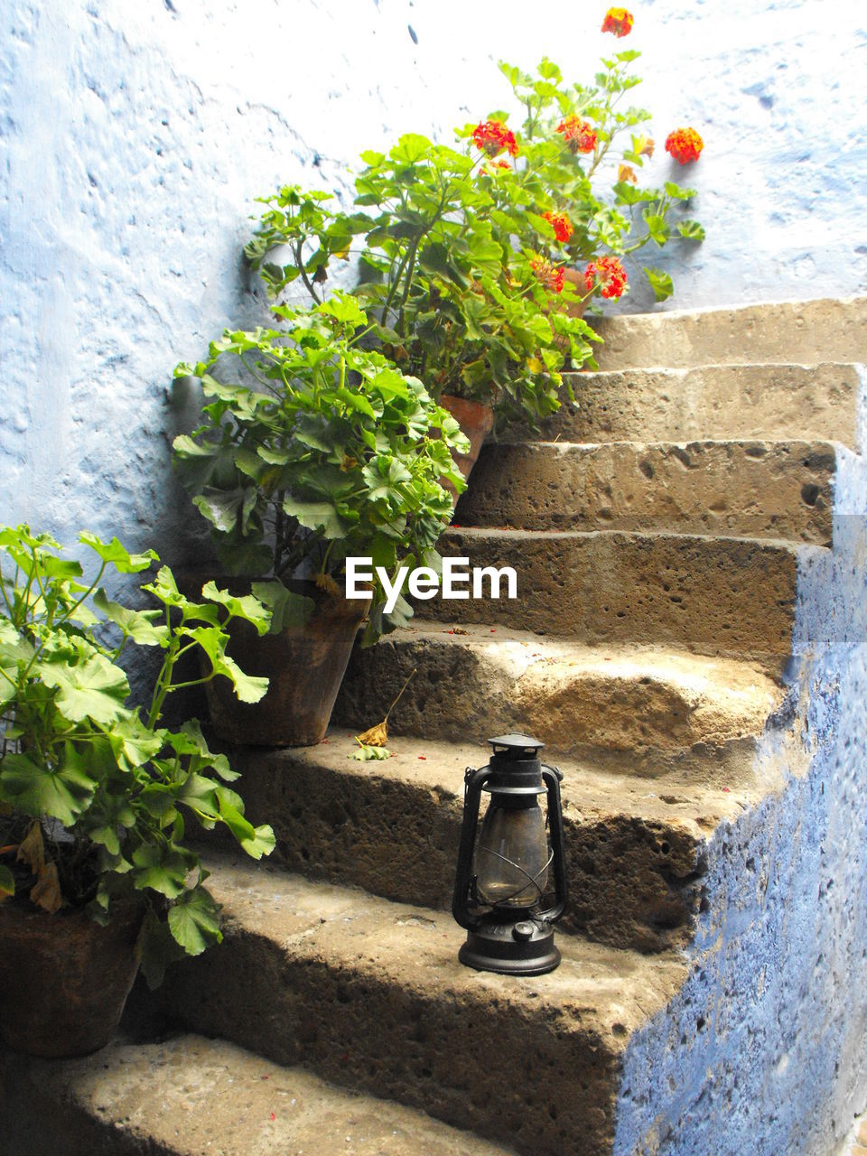 High angle view of potted plants