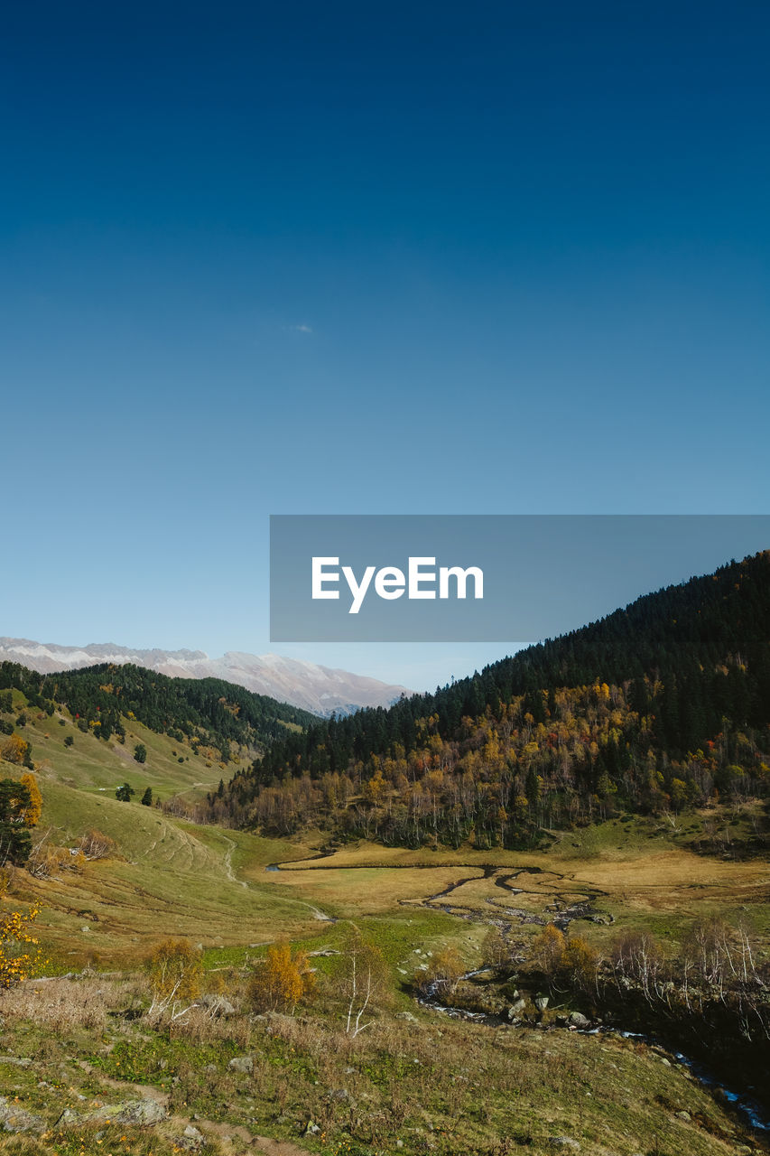 Scenic view of landscape against clear blue sky