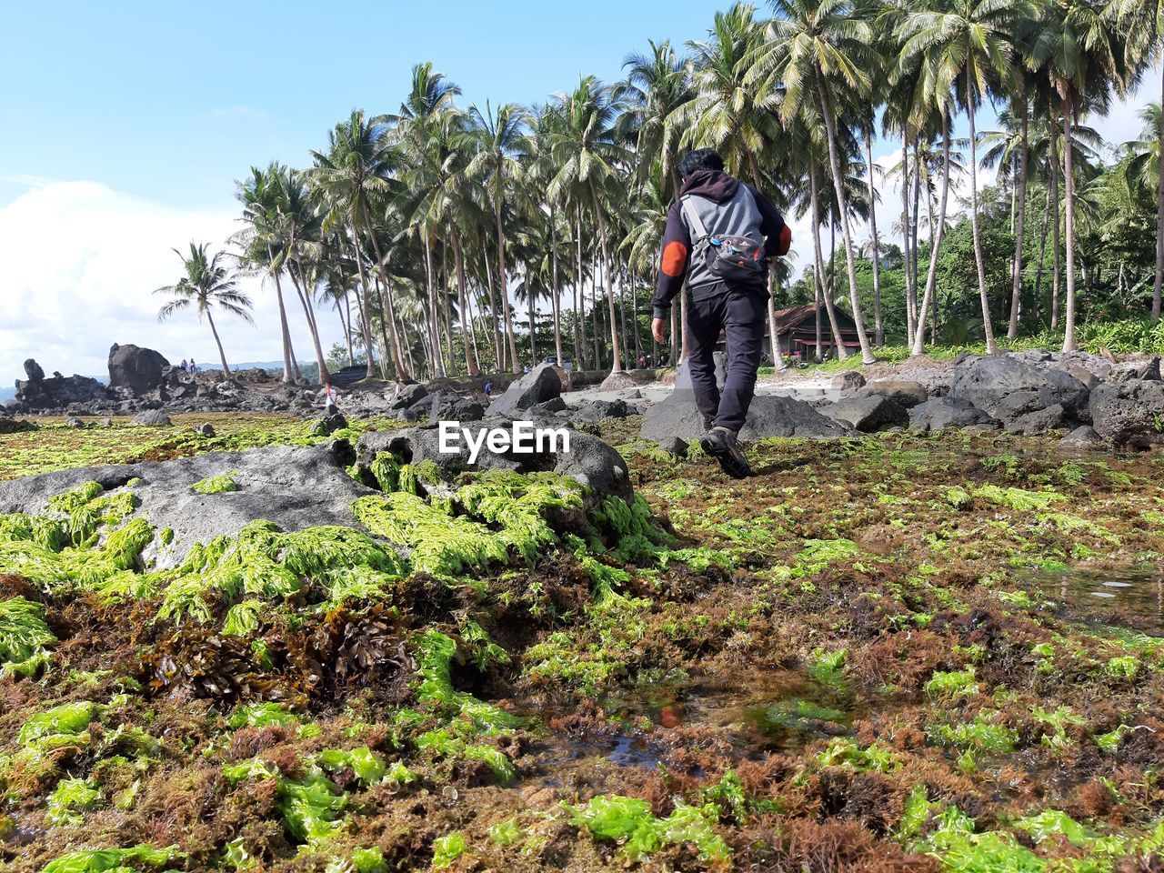 REAR VIEW OF MAN STANDING ON ROCK