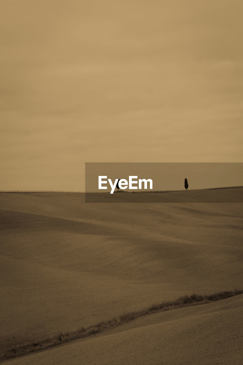 SCENIC VIEW OF SAND DUNES AGAINST SKY