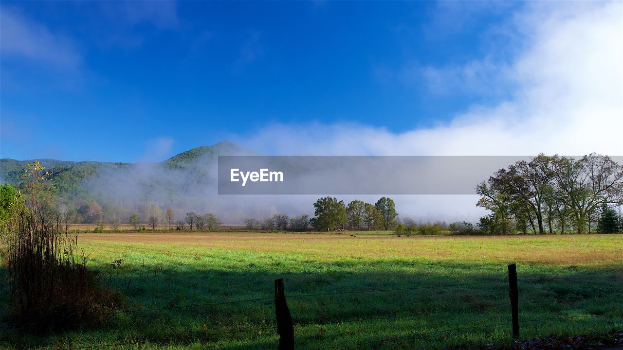 Scenic view of field against sky