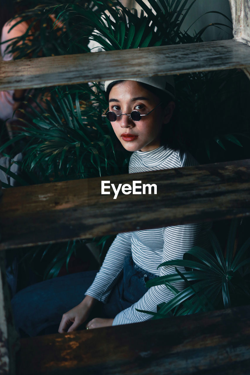 Portrait of young woman wearing sunglasses while sitting by tree and ladder