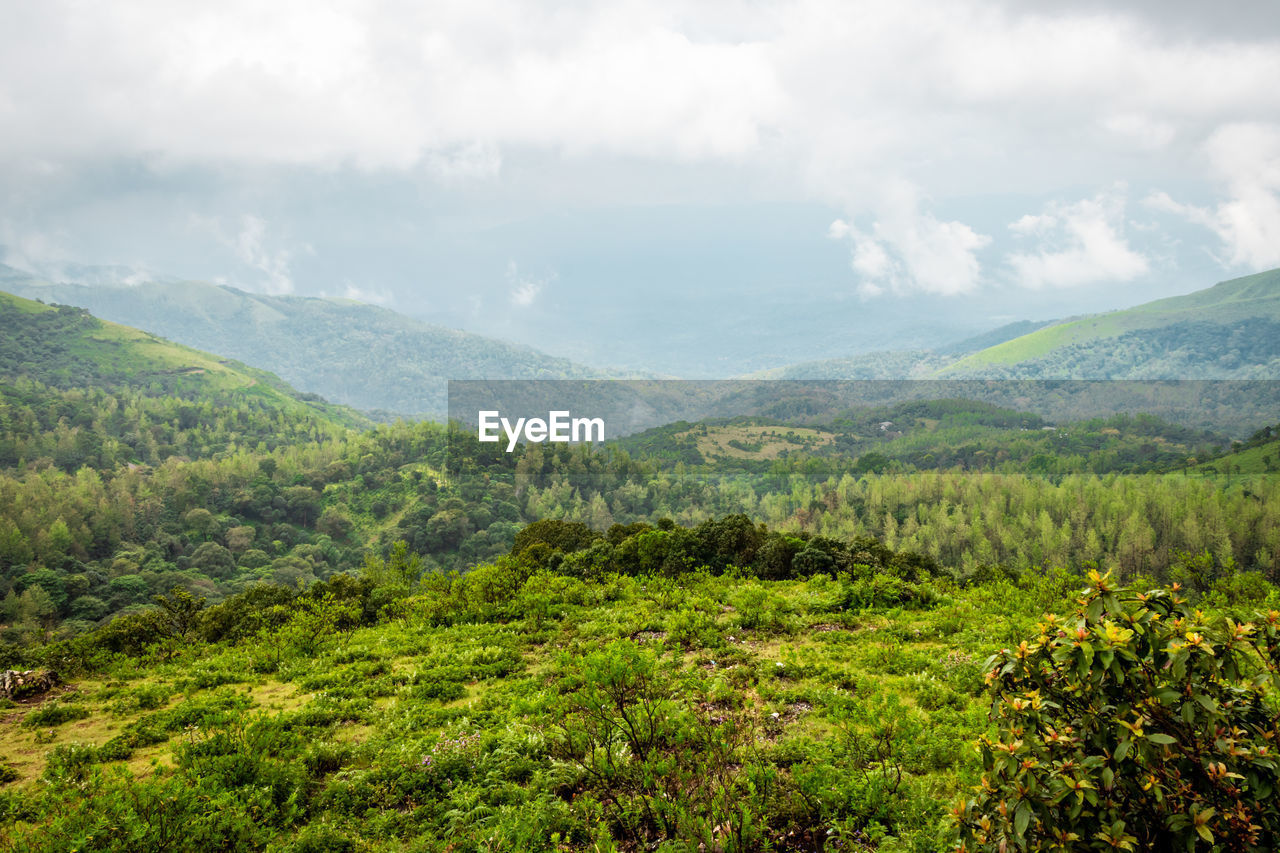 Mountain coverd with clouds and green forests