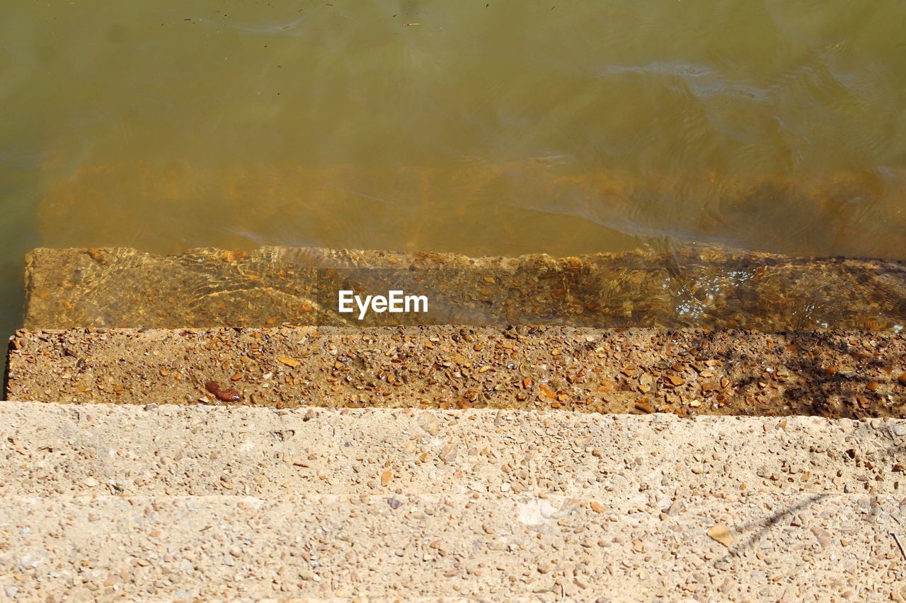 DIGITAL COMPOSITE IMAGE OF ROCKS AND TREES ON FIELD