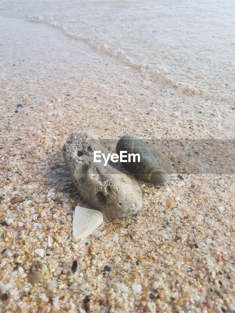 HIGH ANGLE VIEW OF LIZARD ON SAND