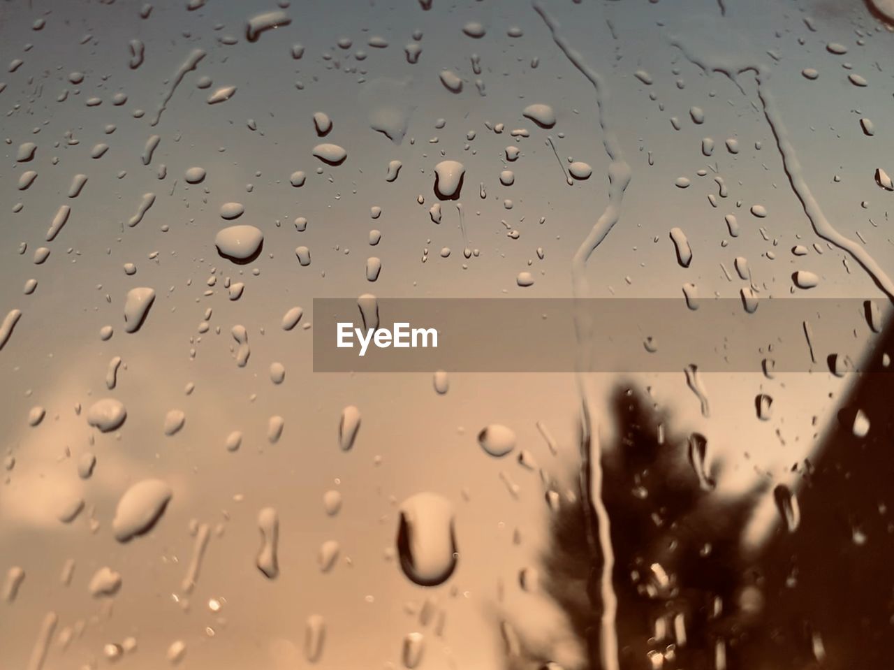 Full frame shot of wet glass window