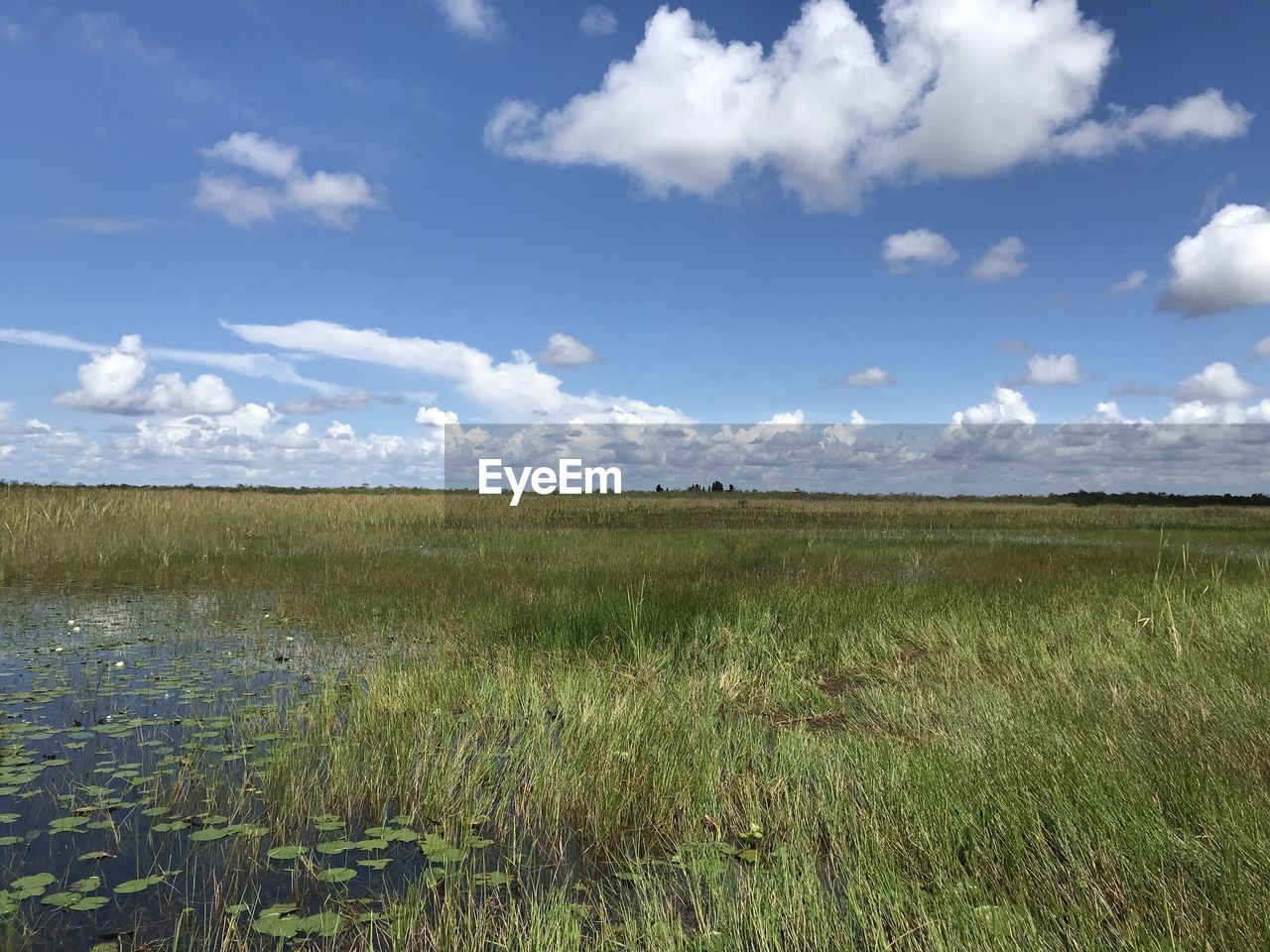 SCENIC VIEW OF FARM AGAINST SKY