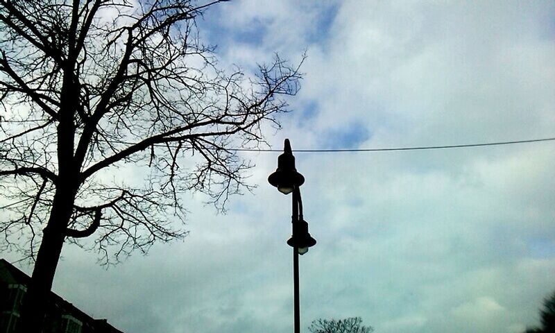 LOW ANGLE VIEW OF TREE AGAINST CLOUDY SKY