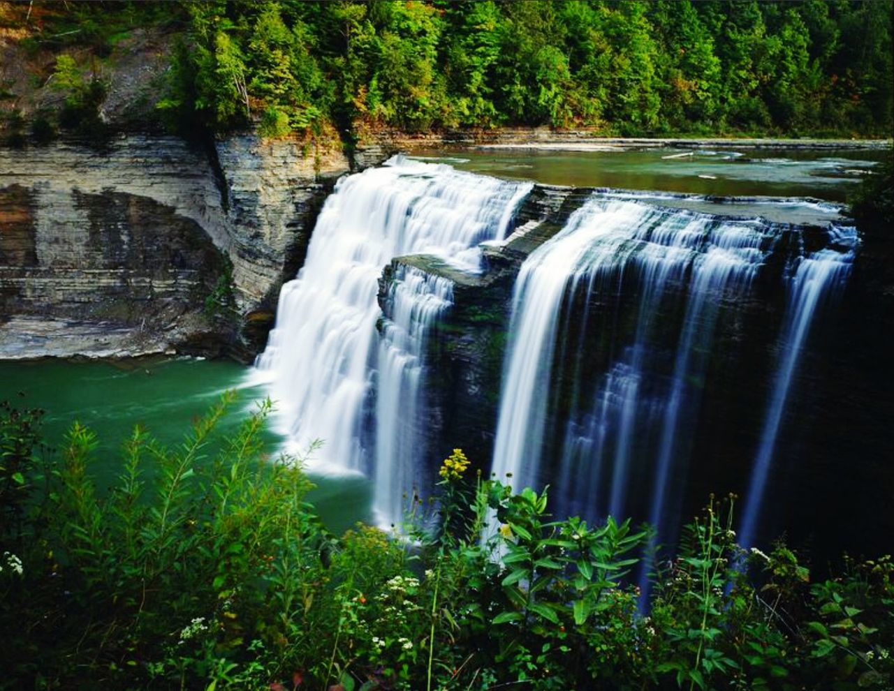 WATERFALL IN FOREST