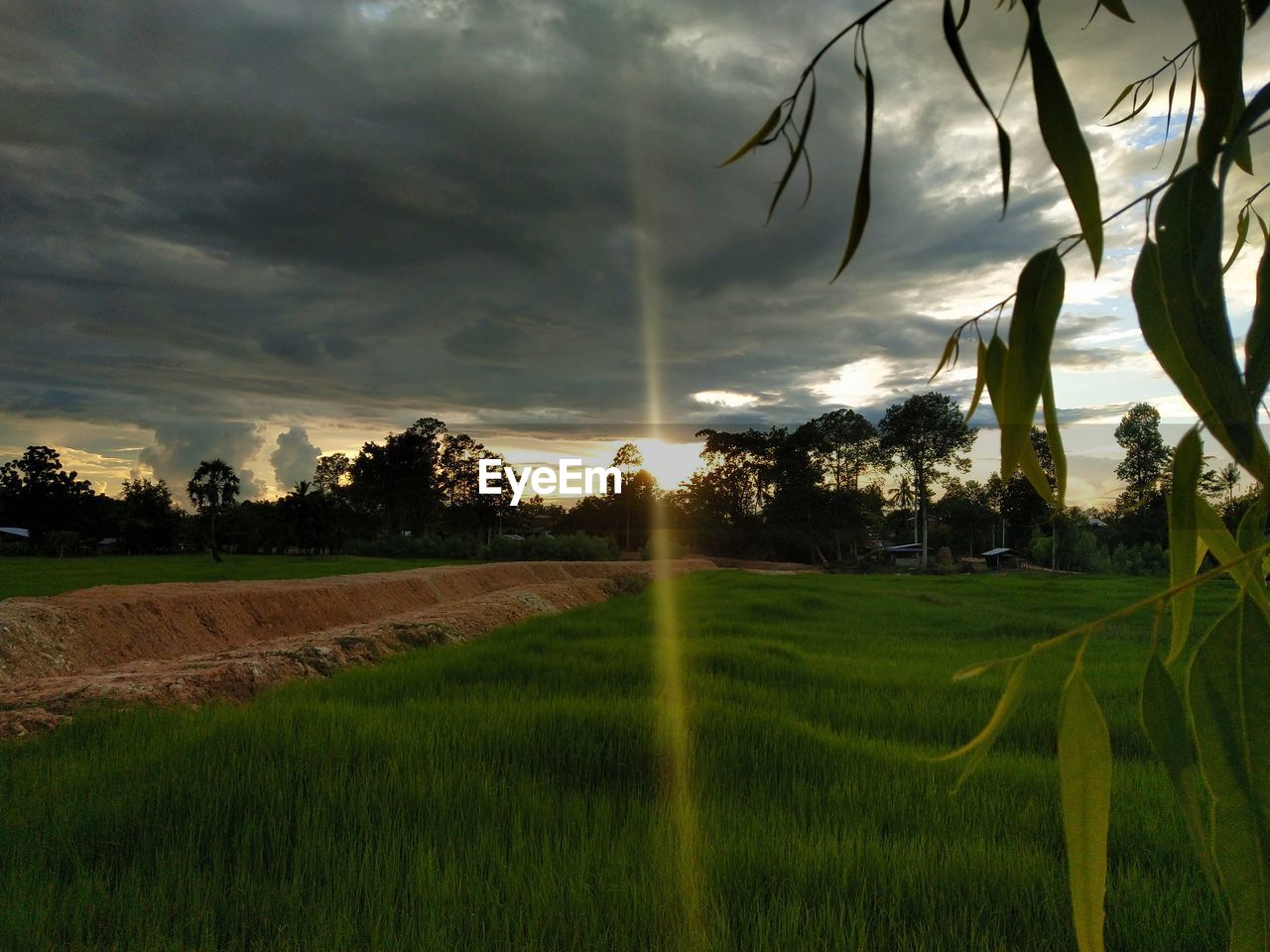 SCENIC VIEW OF FIELD AGAINST SKY AT SUNSET