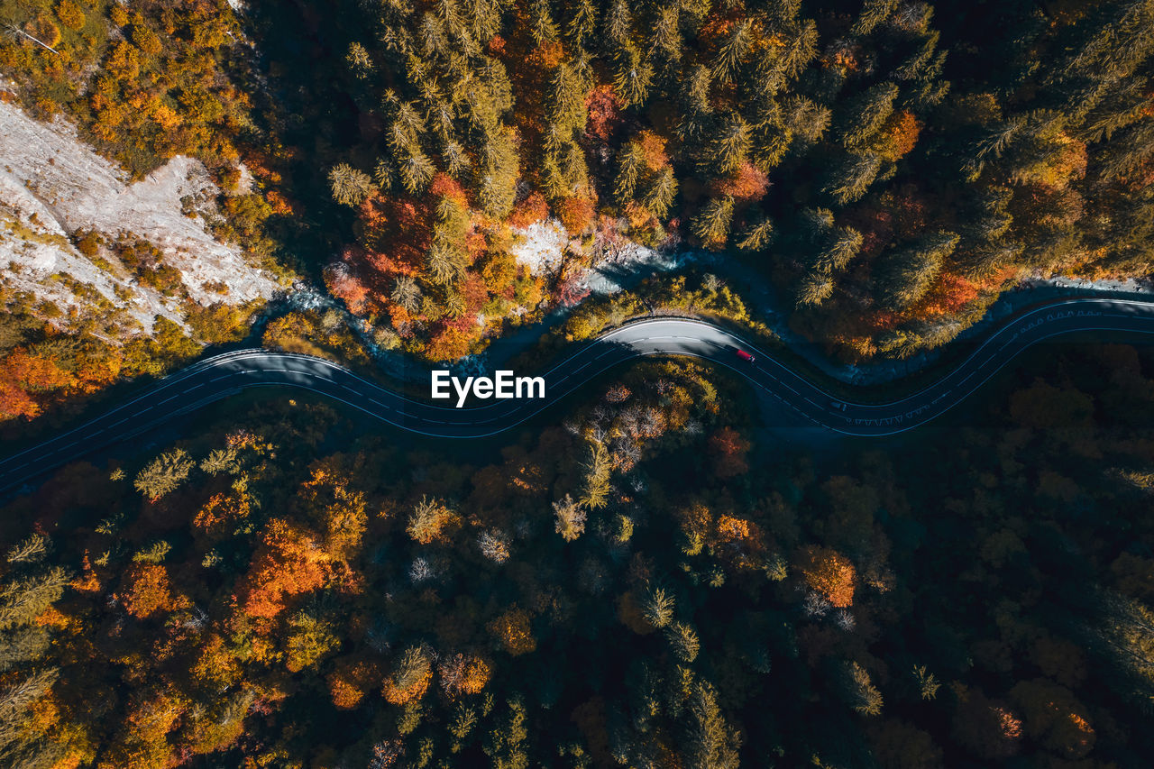 High angle view of road amidst trees during autumn