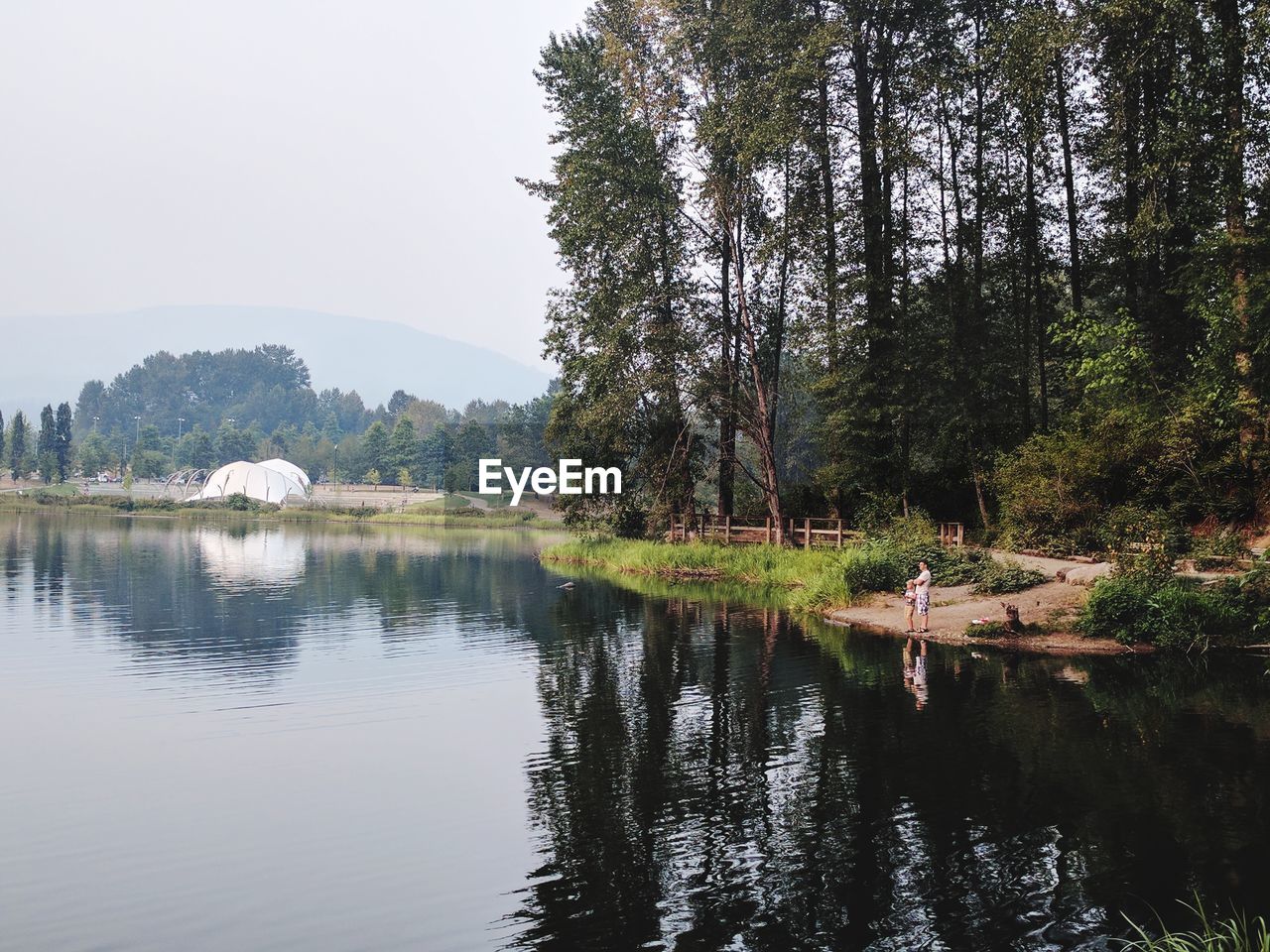 SCENIC VIEW OF LAKE IN FOREST