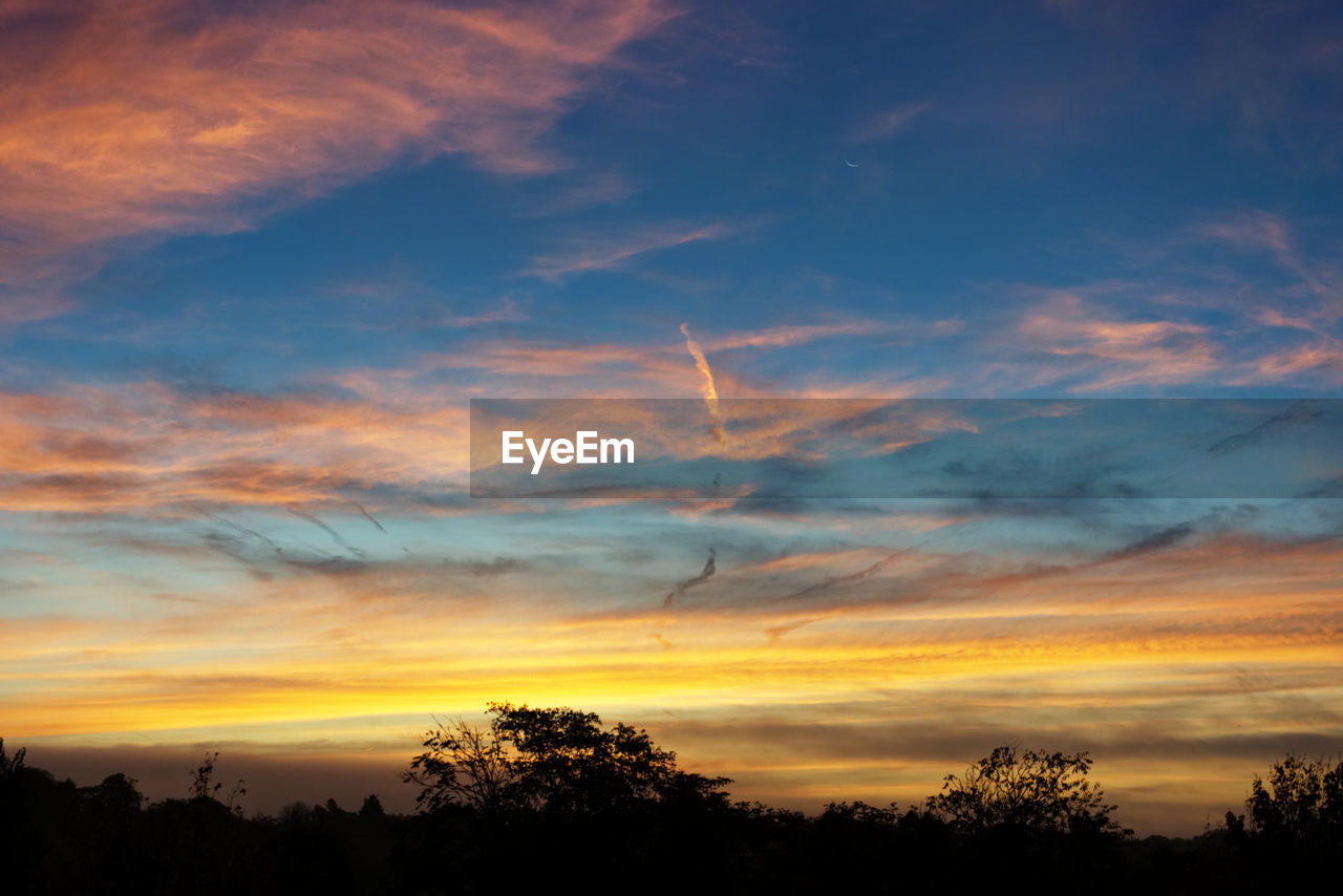 LOW ANGLE VIEW OF SILHOUETTE TREES AGAINST ORANGE SKY