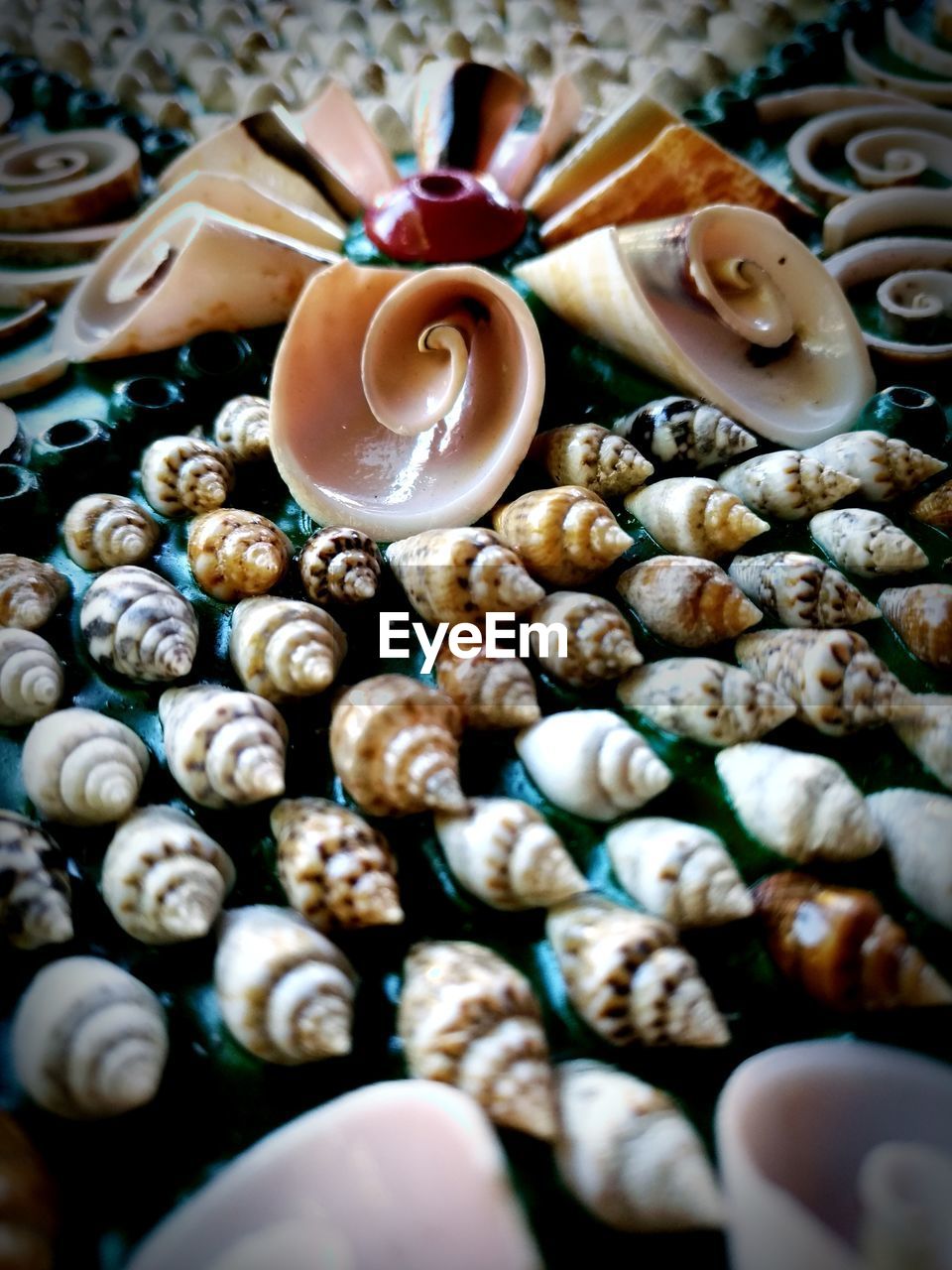 HIGH ANGLE VIEW OF EGGS IN CONTAINER