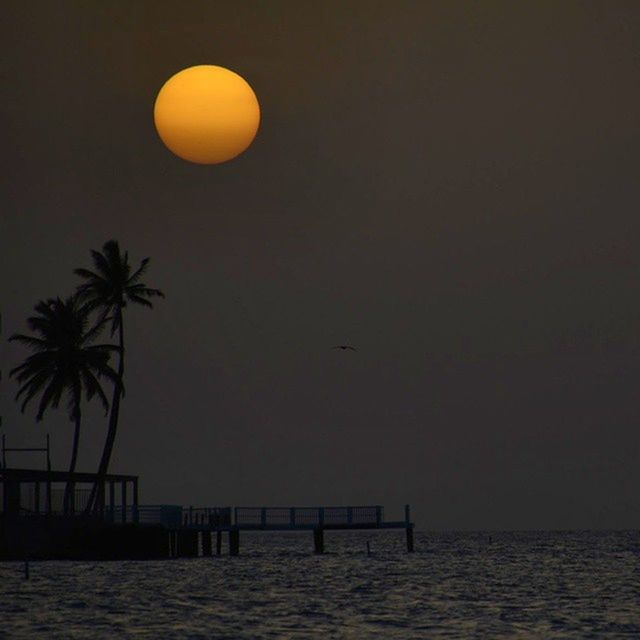 VIEW OF CALM SEA AT SUNSET