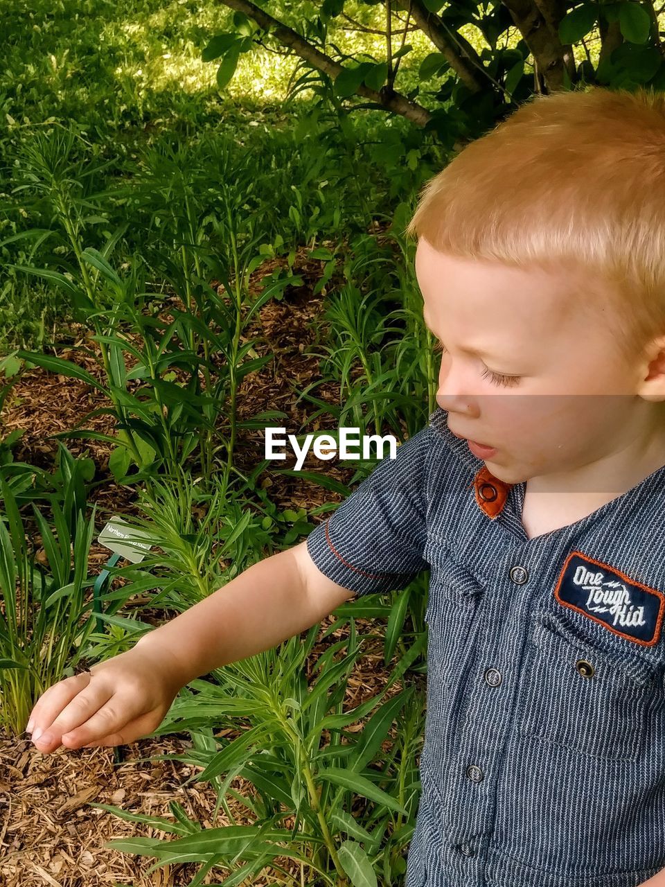 Cute boy looking away on land