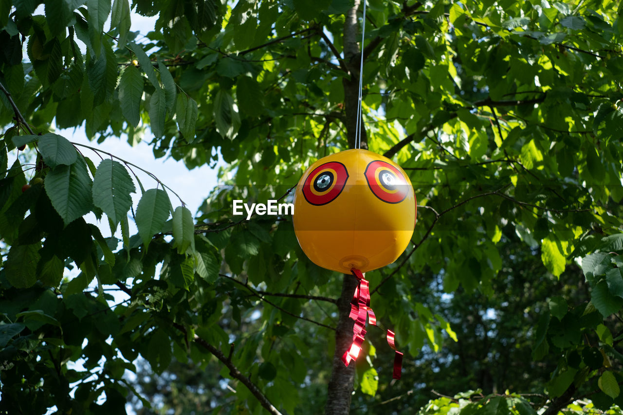 Inflated scare-eye bird repellent balloons moving in wind efficiently repel common unwanted birds 