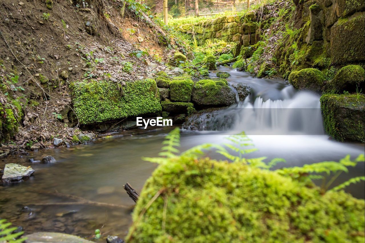 Stream flowing through rocks in forest