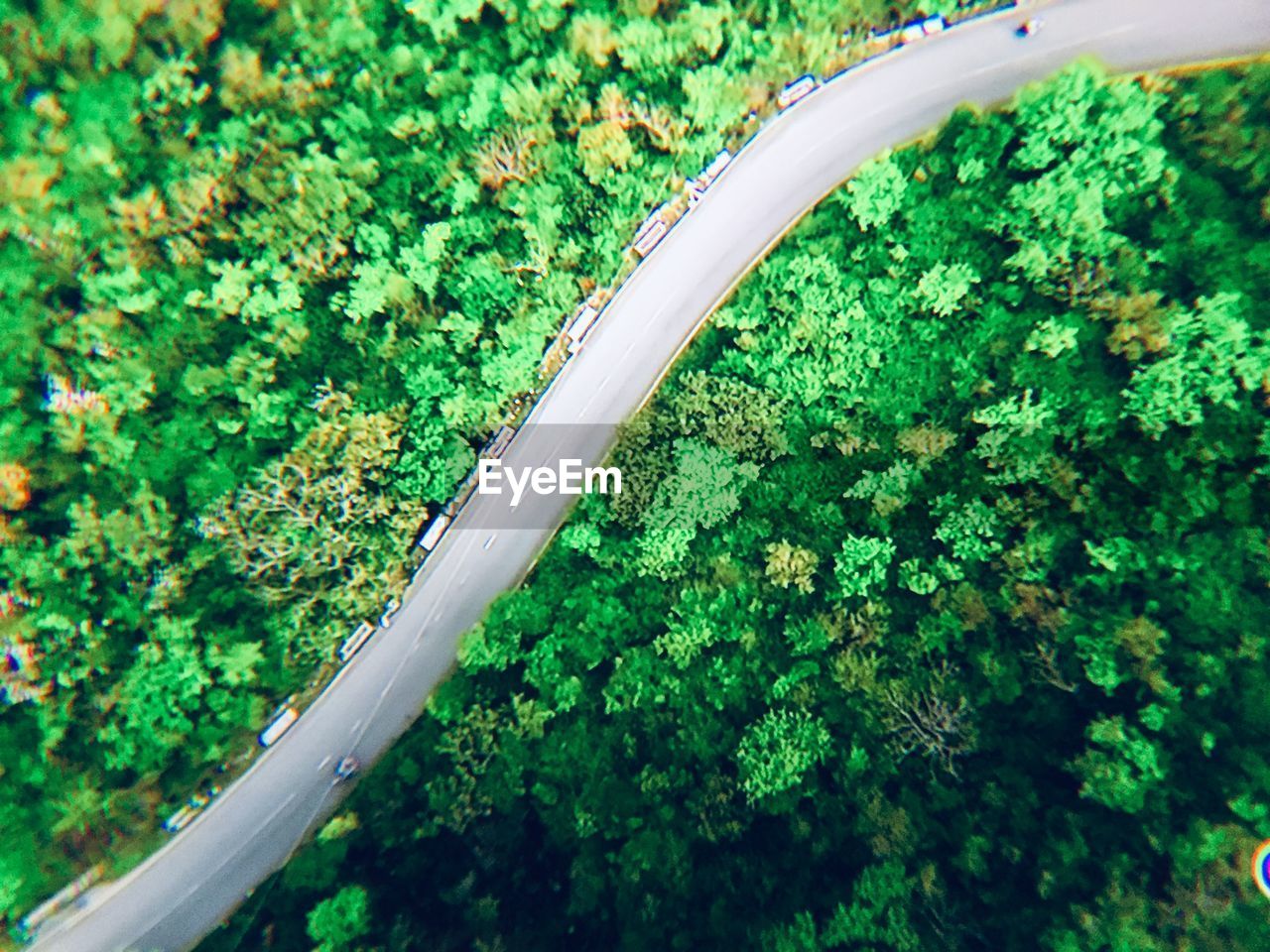 HIGH ANGLE VIEW OF PLANTS GROWING ON LAND