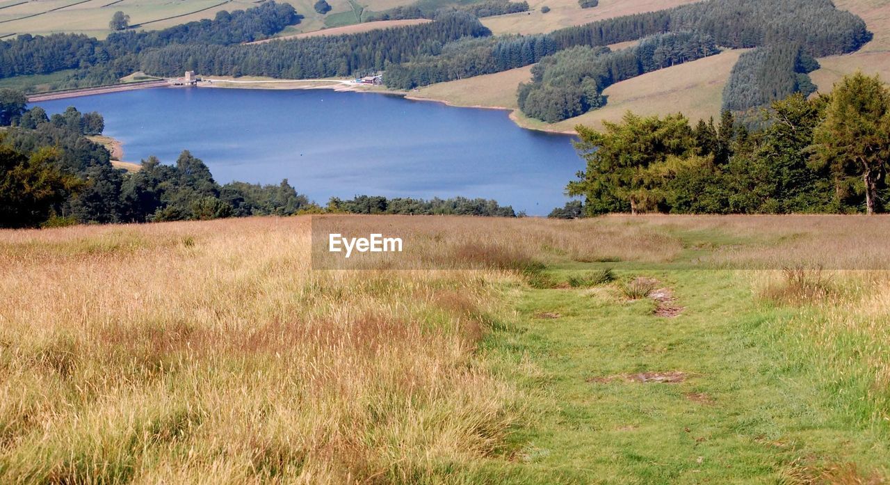 Scenic view of field against sky with lake