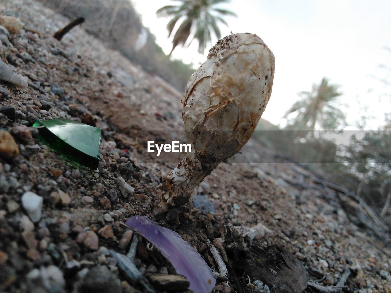 CLOSE-UP OF ROCKS AGAINST BLURRED BACKGROUND