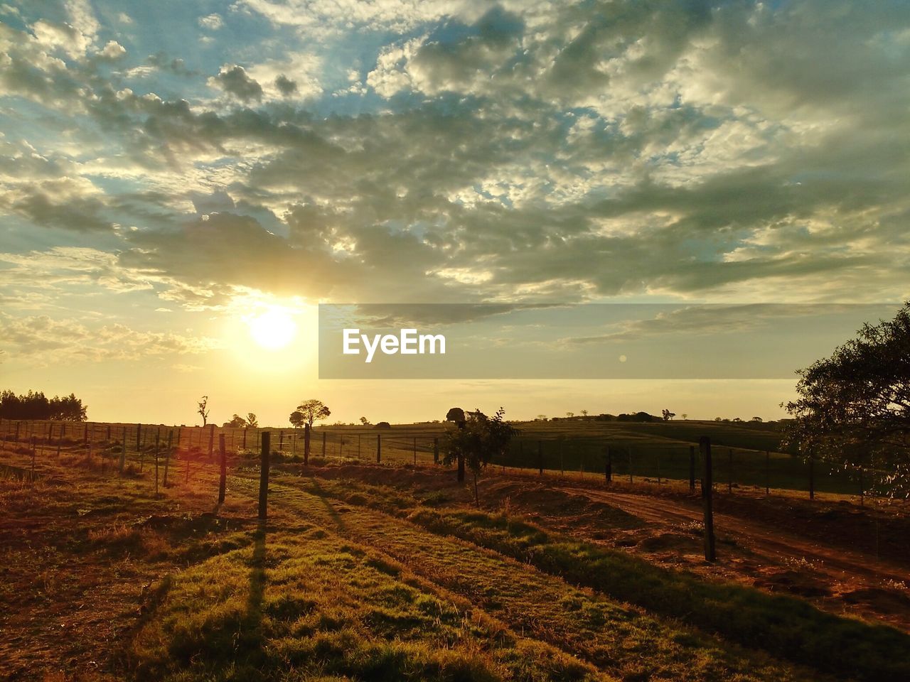 Scenic view of landscape at sunset