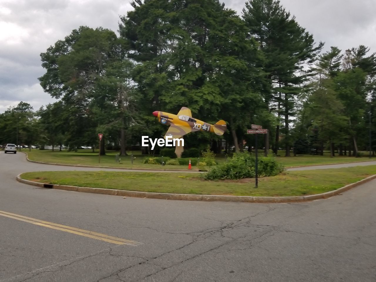 MAN JUMPING BY ROAD IN PARK