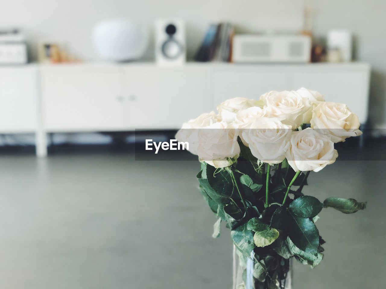 White roses in vase at home