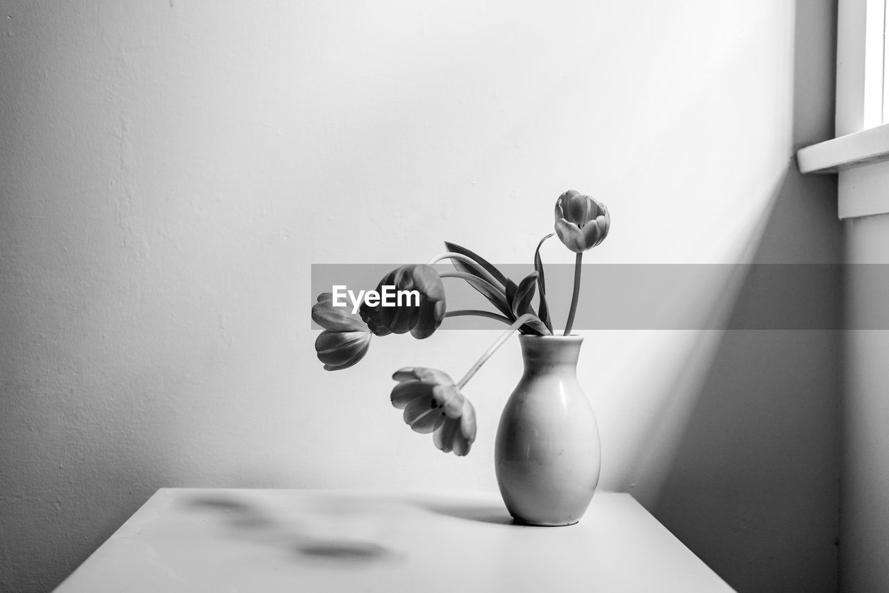 Close-up of flowers in vase on table against wall