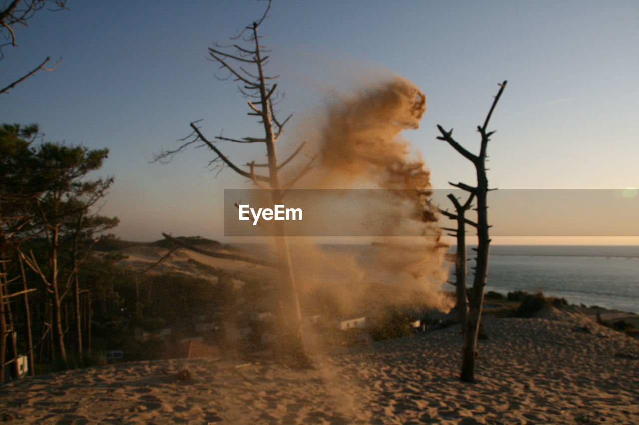 MAN STANDING ON SHORE AGAINST SKY