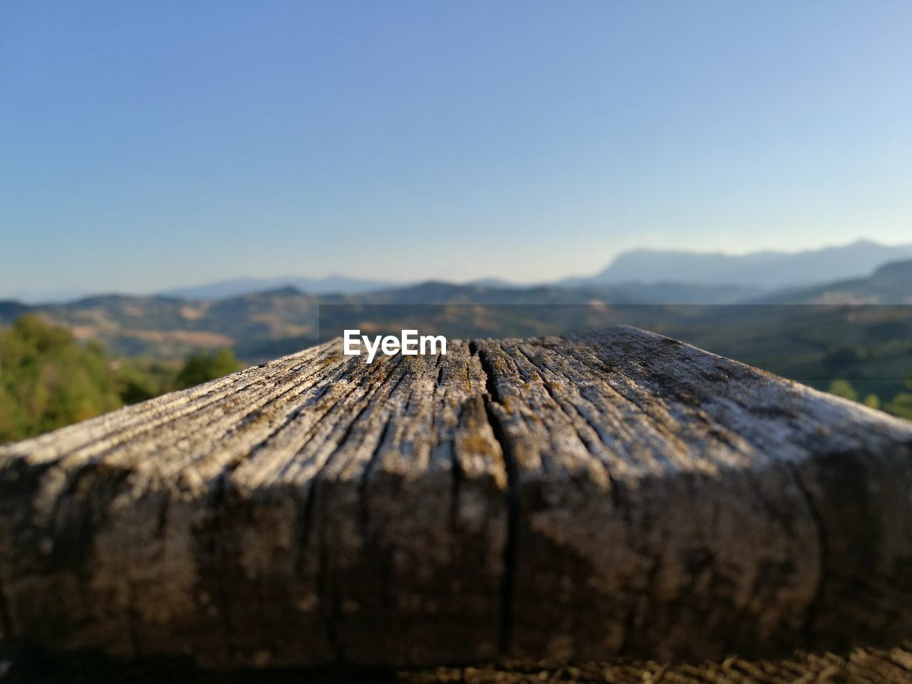 Close-up of wooden log against clear sky