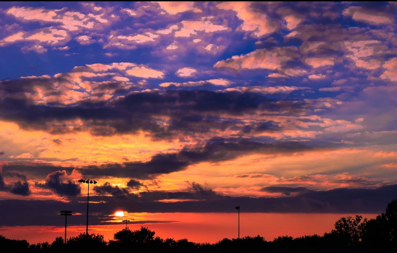 SILHOUETTE OF TREES AT SUNSET