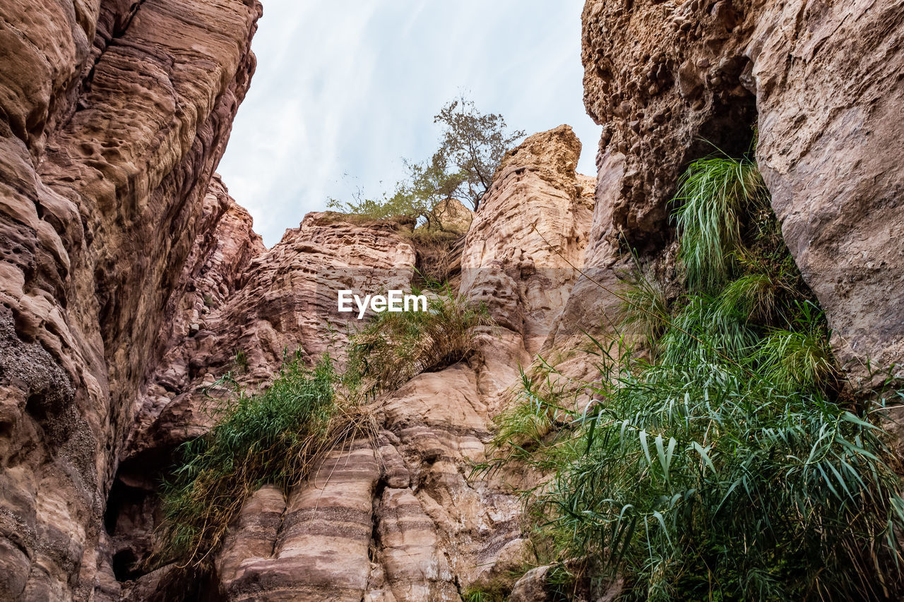 rock, rock formation, nature, plant, tree, travel destinations, beauty in nature, sky, scenics - nature, canyon, land, wadi, non-urban scene, no people, environment, landscape, arch, geology, terrain, travel, cliff, tranquility, formation, valley, outdoors, day, physical geography, cloud, low angle view, eroded, mountain, tourism, tranquil scene, desert, extreme terrain, wilderness, adventure