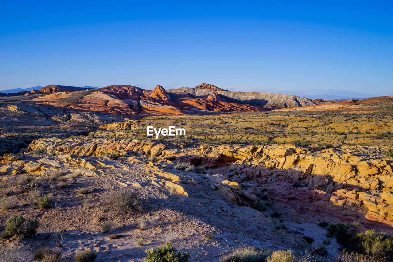SCENIC VIEW OF DESERT AGAINST BLUE SKY