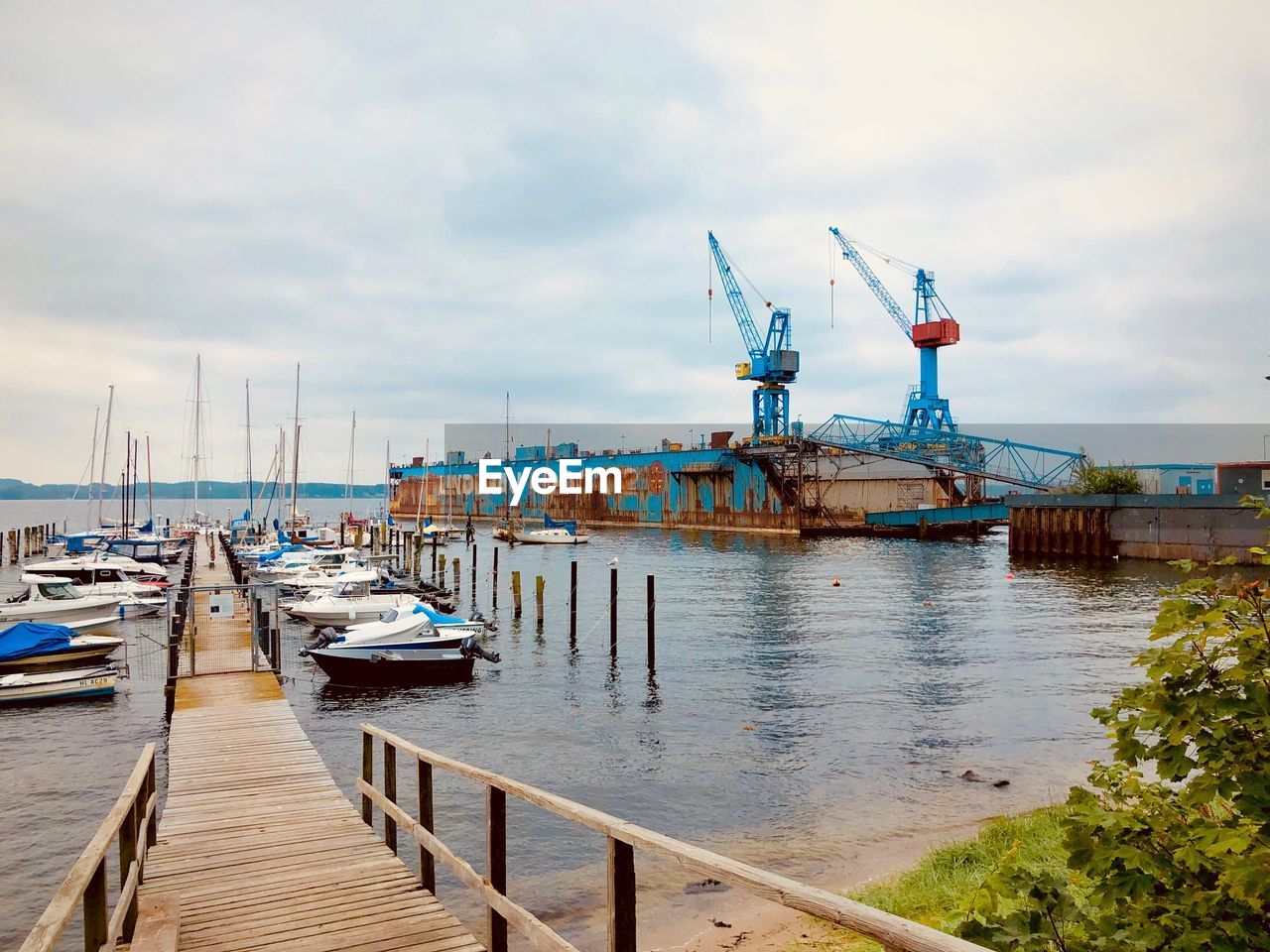 SAILBOATS IN HARBOR