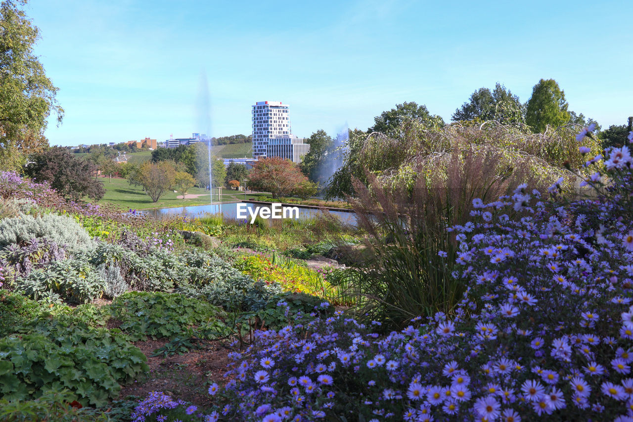 Scenic view of flowering plants and buildings against sky